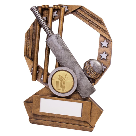 Picture of Enigma Cricket Award 140mm