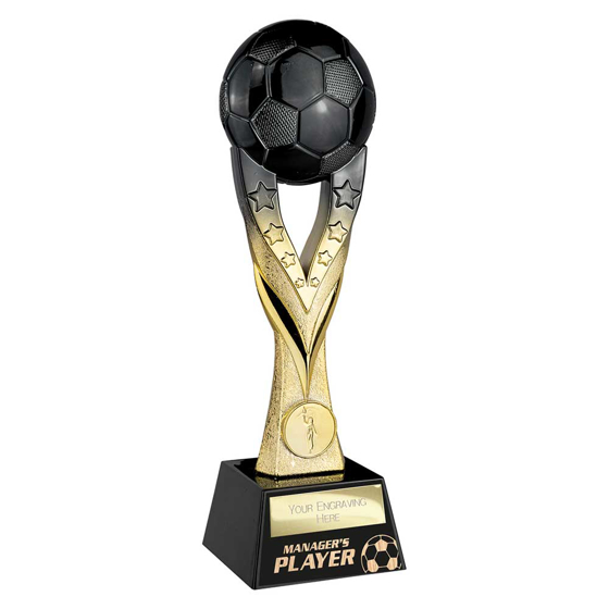 Picture of Extreme Football Managers Player Award Carbon Black & Gold 255mm