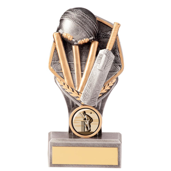 Picture of Falcon Cricket Award 140mm