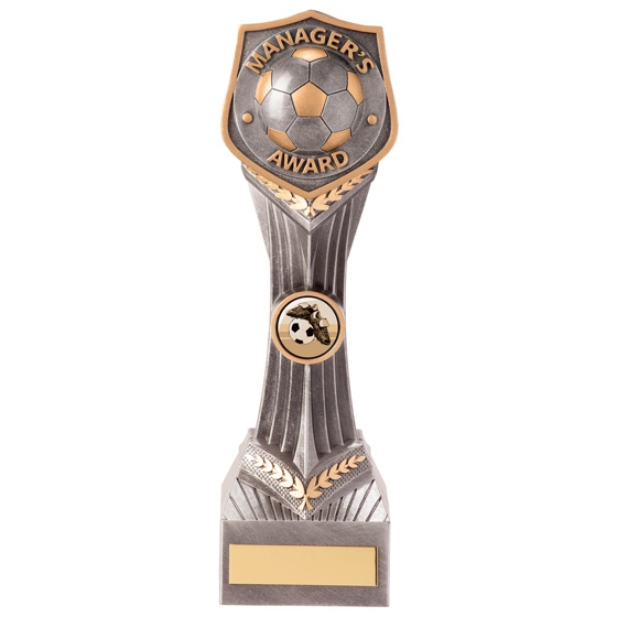 Picture of Falcon Football Manager's Award 240mm