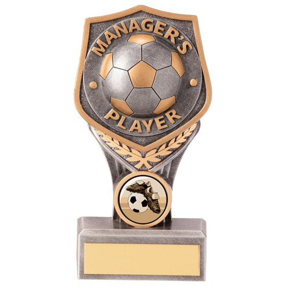 Picture of Falcon Football Manager's Player Award 140mm