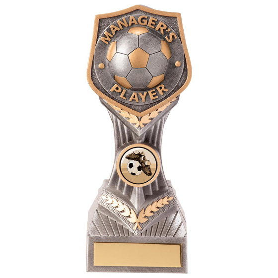 Picture of Falcon Football Manager's Player Award 180mm