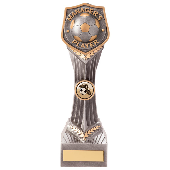 Picture of Falcon Football Manager's Player Award 240mm