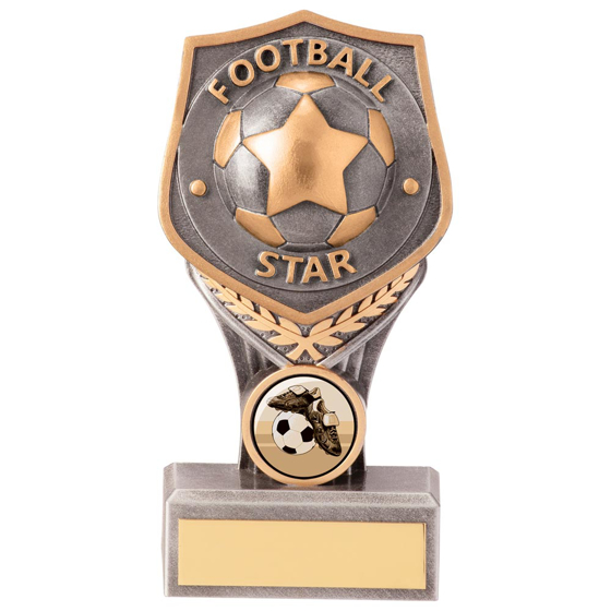 Picture of Falcon Football Star Award 140mm