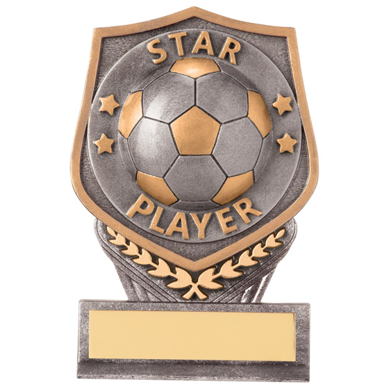 Picture of Falcon Football Star Player Plaque Award 105mm