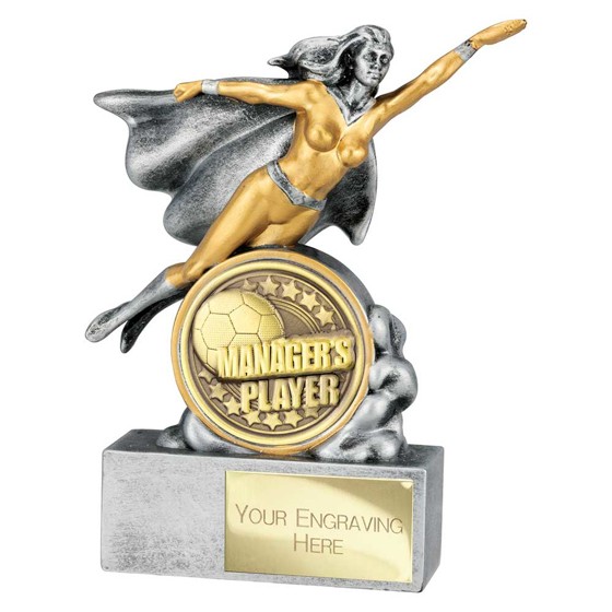 Picture of Hero Female Managers Player Award Antique Silver 140mm