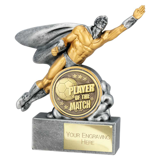 Picture of Hero Male Player of Match Award Antique Silver 140mm