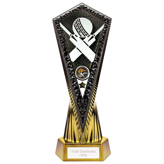 Picture of Inferno Cricket Award Carbon Black & Fusion Gold 270mm