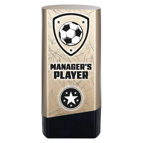 Picture of Prime Heavyweight Managers Player Gold & Black 160mm