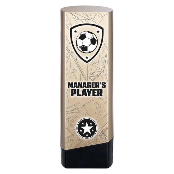 Picture of Prime Heavyweight Managers Player Gold & Black 220mm