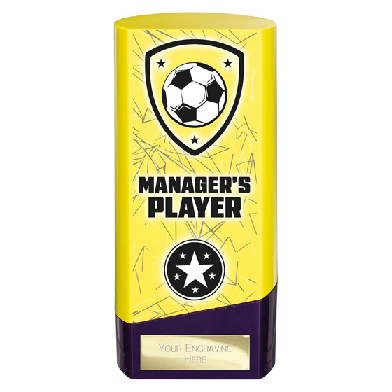 Picture of Prime Heavyweight Managers Player Yellow & Purple 160mm