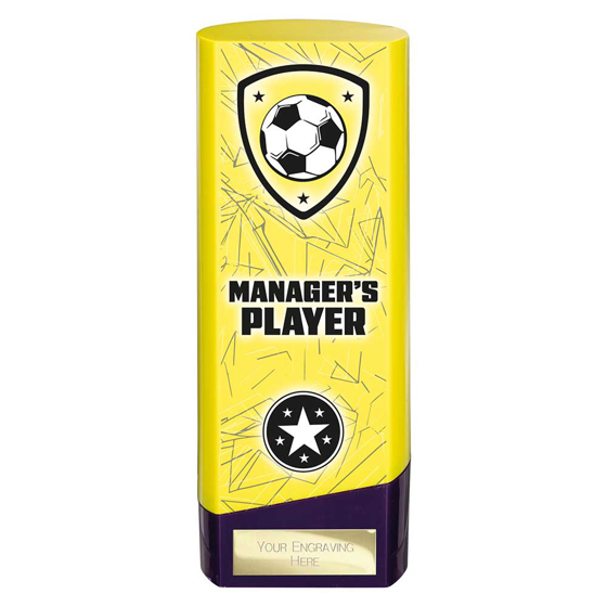 Picture of Prime Heavyweight Managers Player Yellow & Purple 190mm