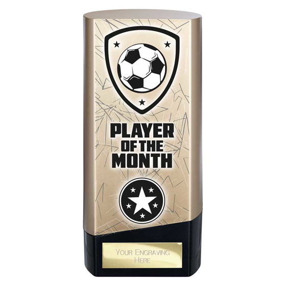 Picture of Prime Heavyweight Player of Month Gold & Black 160mm