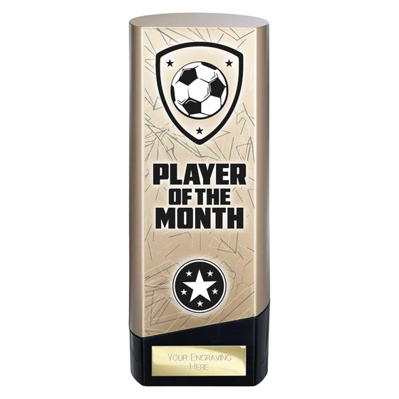 Picture of Prime Heavyweight Player of Month Gold & Black 190mm