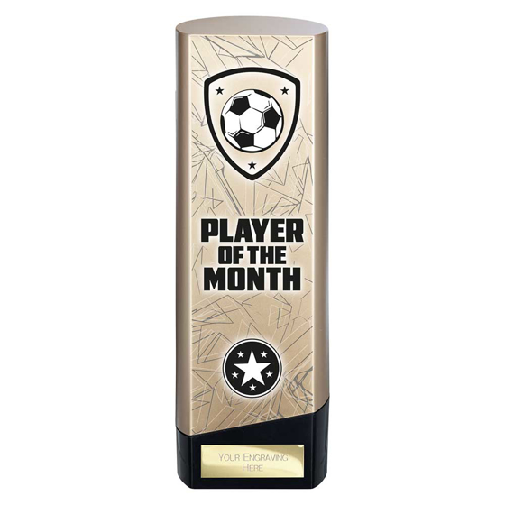 Picture of Prime Heavyweight Player of Month Gold & Black 220mm