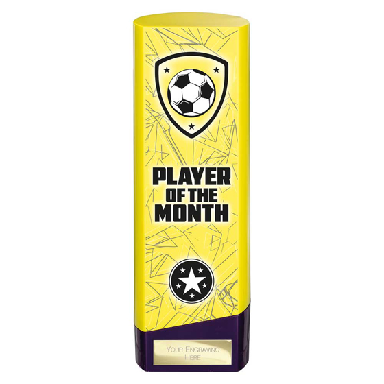 Picture of Prime Heavyweight Player of Month Yellow & Purple 220mm