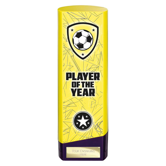 Picture of Prime Heavyweight Player of Year Yellow & Purple 220mm