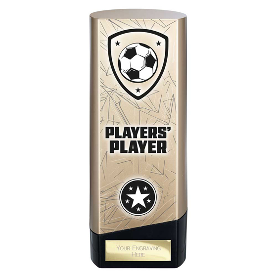 Picture of Prime Heavyweight Players Player Gold & Black 190mm