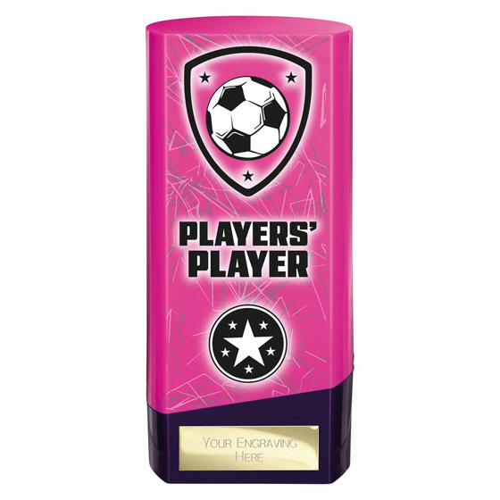 Picture of Prime Heavyweight Players Player Pink & Purple 160mm