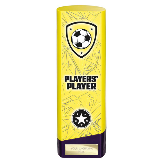 Picture of Prime Heavyweight Players Player Yellow & Purple 220mm