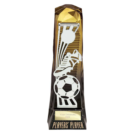 Picture of Shard Football Players Player Award Gold to Black 230mm