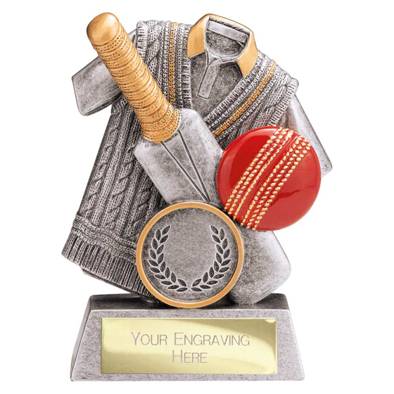 Picture of Spirit Cricket Resin Award Antique Silver & Gold100mm