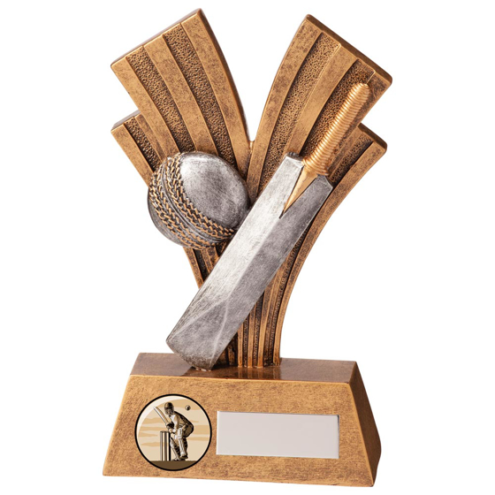 Picture of Xplode Cricket Award 150mm